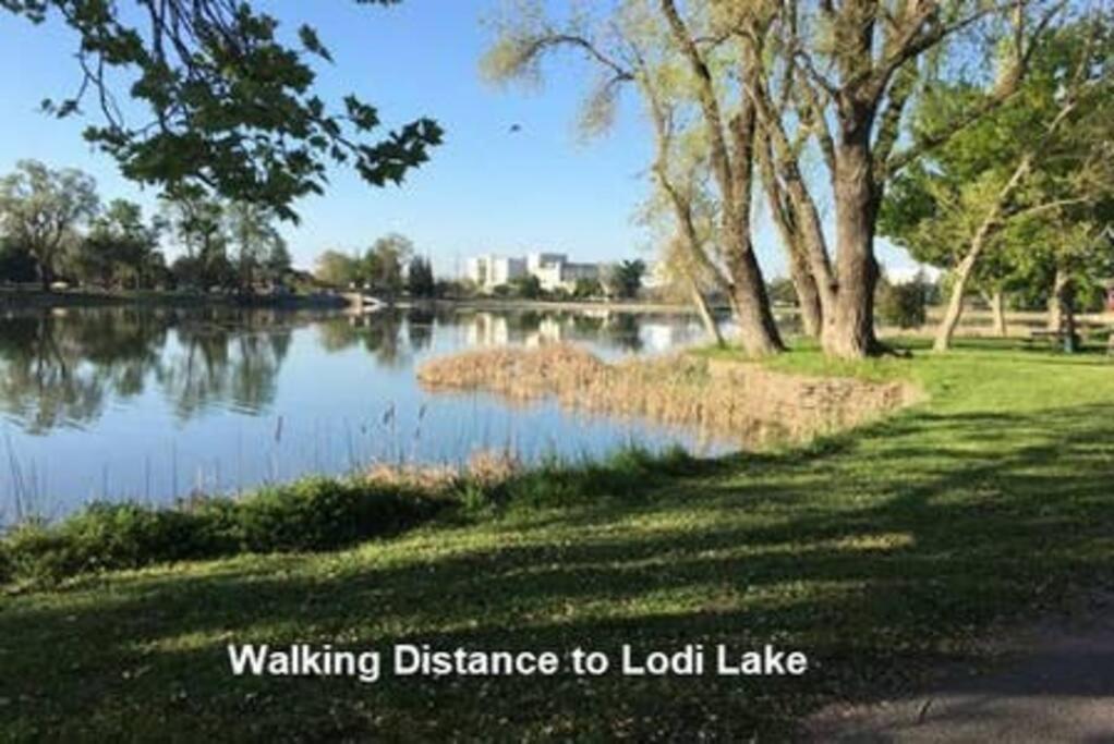 Robert St Cottage, Near Lodi Lake Экстерьер фото